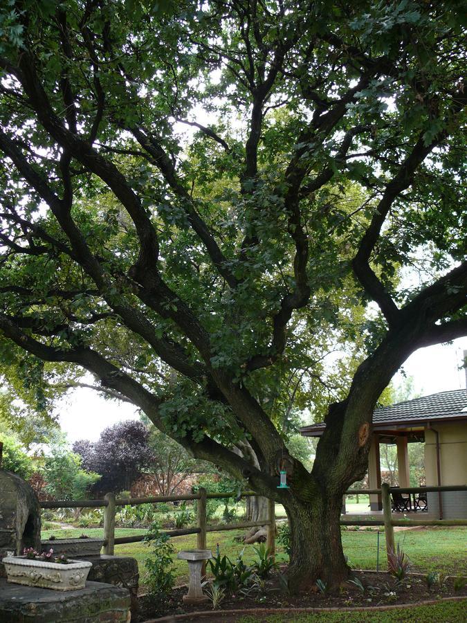 Bed and Breakfast 42Onking à Centurion Extérieur photo